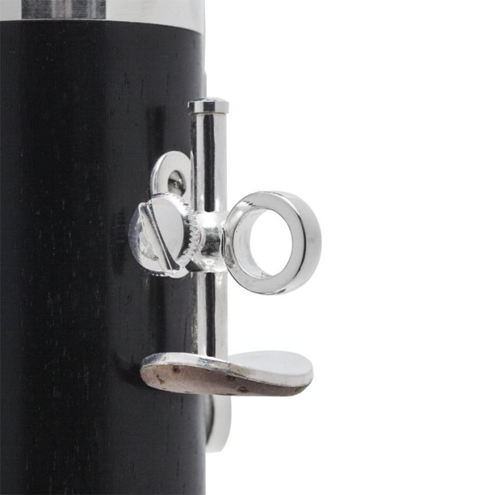 Acquista SELMER CLARINETTO SIB PROLOGUE 1B AO COMPLETE online | Merula Strumenti Musicali