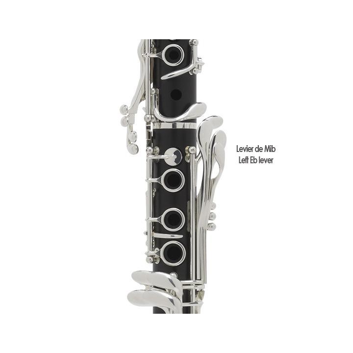 Acquista SELMER CLARINETTO SIB PROLOGUE 1B AO COMPLETE online | Merula Strumenti Musicali