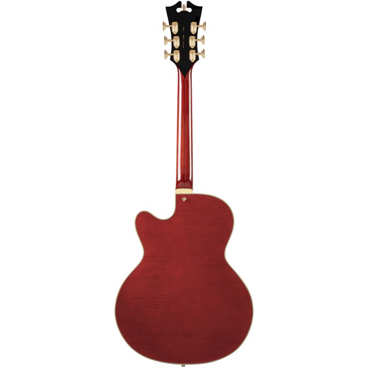 Acquista D'ANGELICO DAE59VI0GT online | Merula Strumenti Musicali