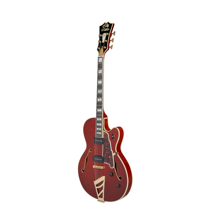 Acquista D'ANGELICO DAE59VI0GT online | Merula Strumenti Musicali