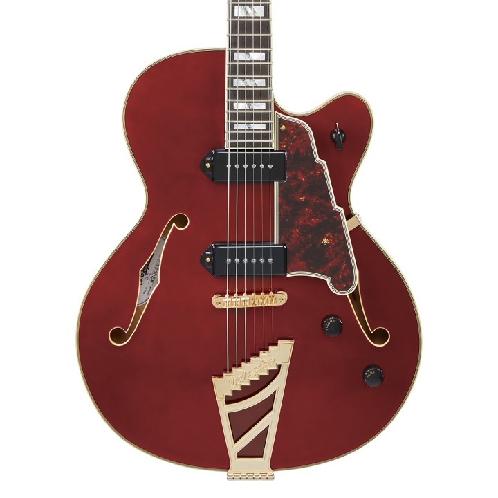Acquista D'ANGELICO DAE59VI0GT online | Merula Strumenti Musicali