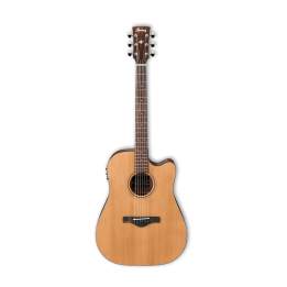 Acquista IBANEZ Aw65ece-Lg online | Merula Strumenti Musicali