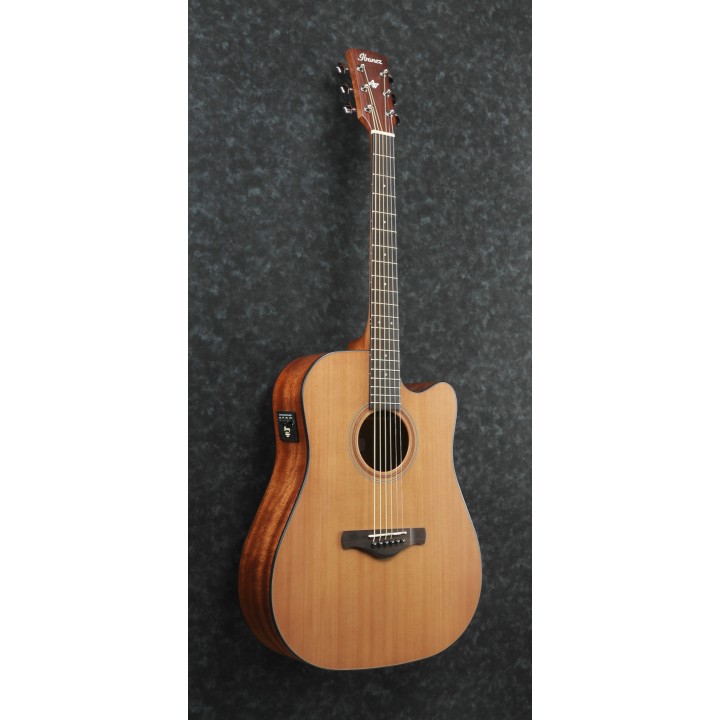 Acquista IBANEZ Aw65ece-Lg online | Merula Strumenti Musicali