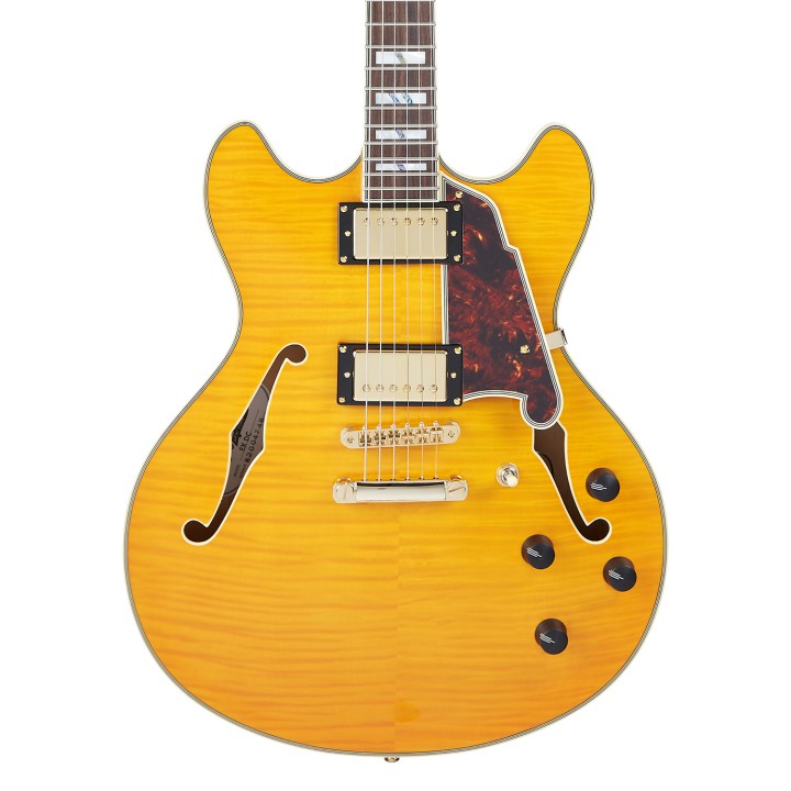 Acquista D'ANGELICO EXCEL DC VINTAGE NATURAL online | Merula Strumenti Musicali