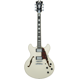 Acquista D'ANGELICO PREMIER DC CHAMPAGNE online | Merula Strumenti Musicali