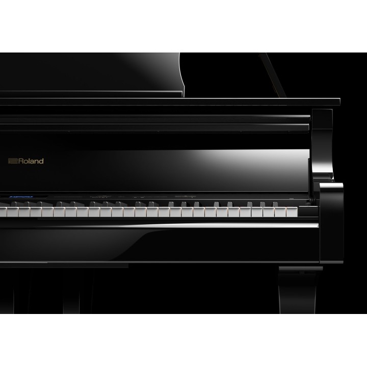 Roland - Gp609 - Pe