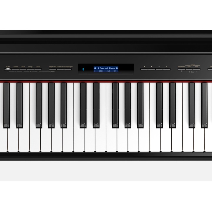 Roland - Gp609 - Pe