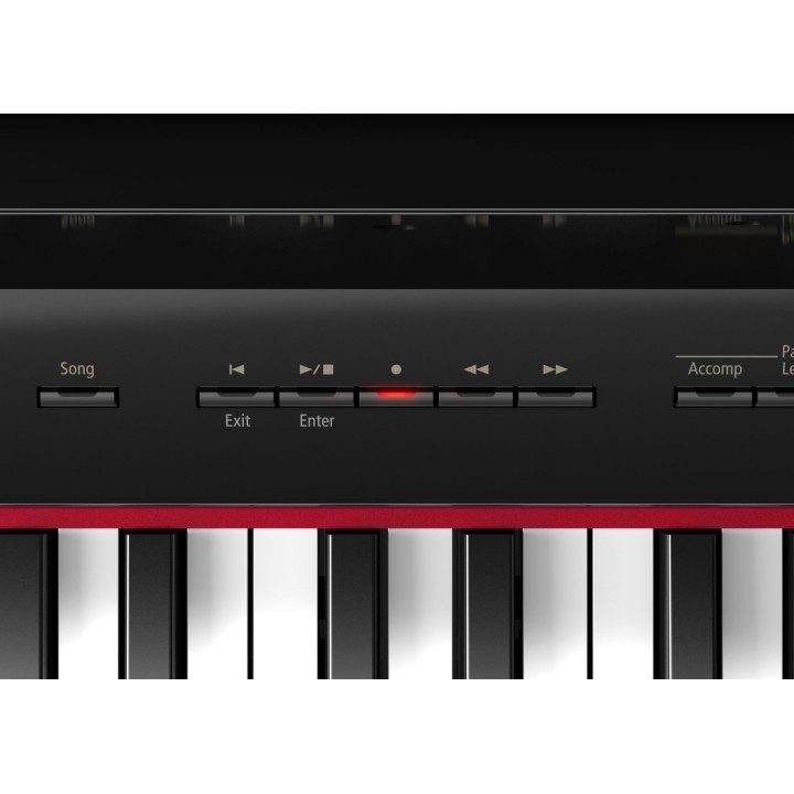 Roland - Gp609 - Pe