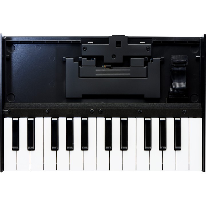 Acquista ROLAND K-25M online | Merula Strumenti Musicali