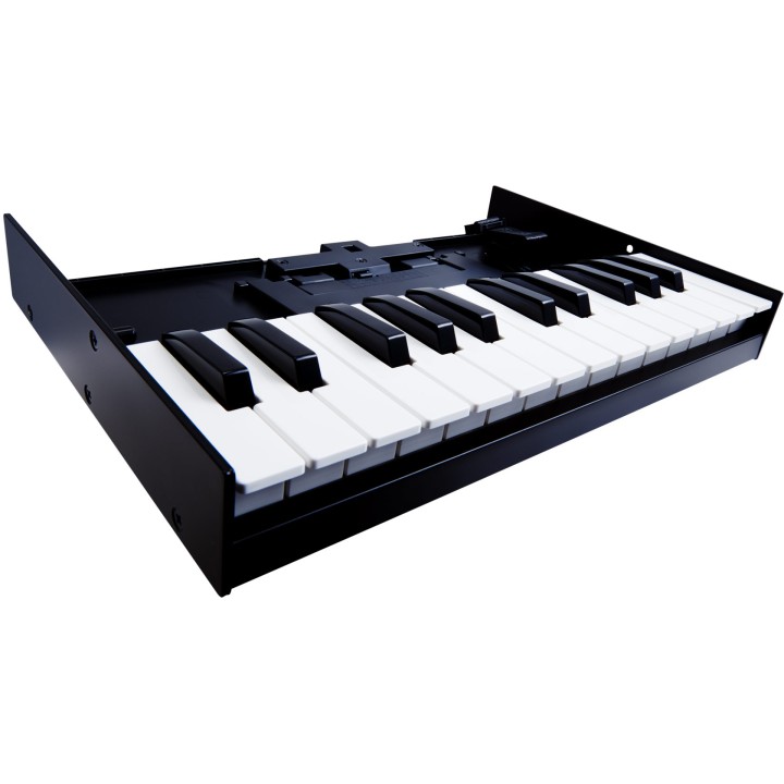 Acquista ROLAND K-25M online | Merula Strumenti Musicali