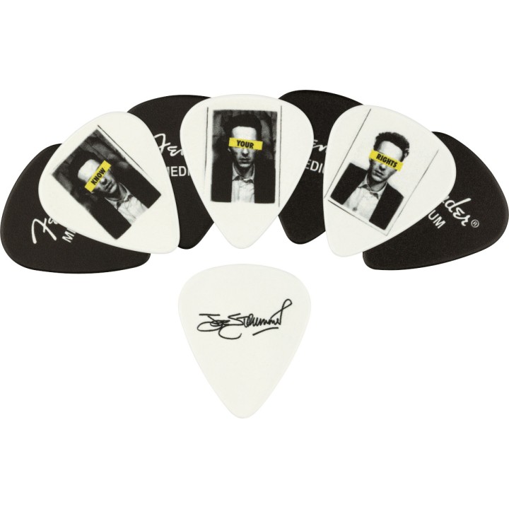 Acquista FENDER STRUMMER PICK TIN, MED (8) - 1980351006 online | Merula Strumenti Musicali