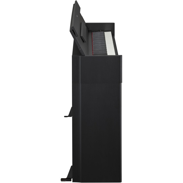 Acquista YAMAHA Ydps55b online | Merula Strumenti Musicali