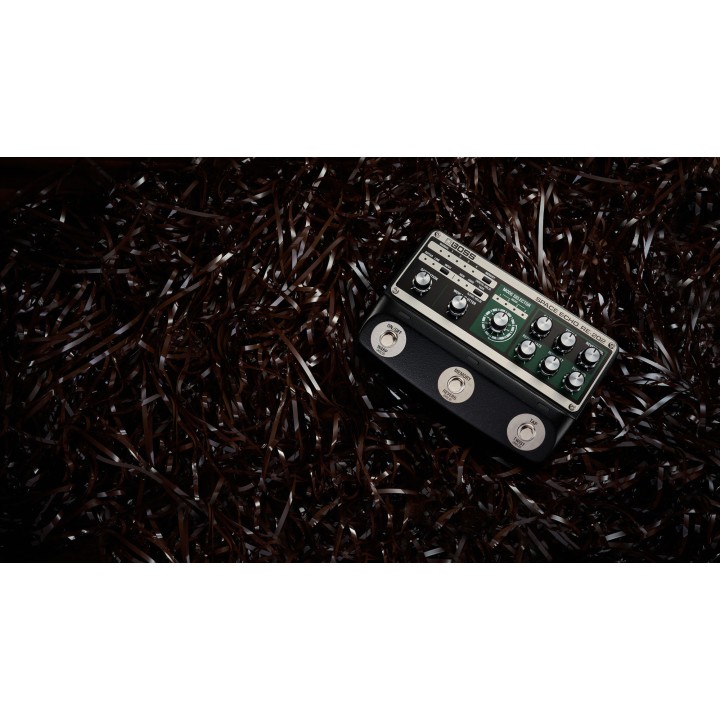 Acquista BOSS Re-202 Space Echo online | Merula Strumenti Musicali