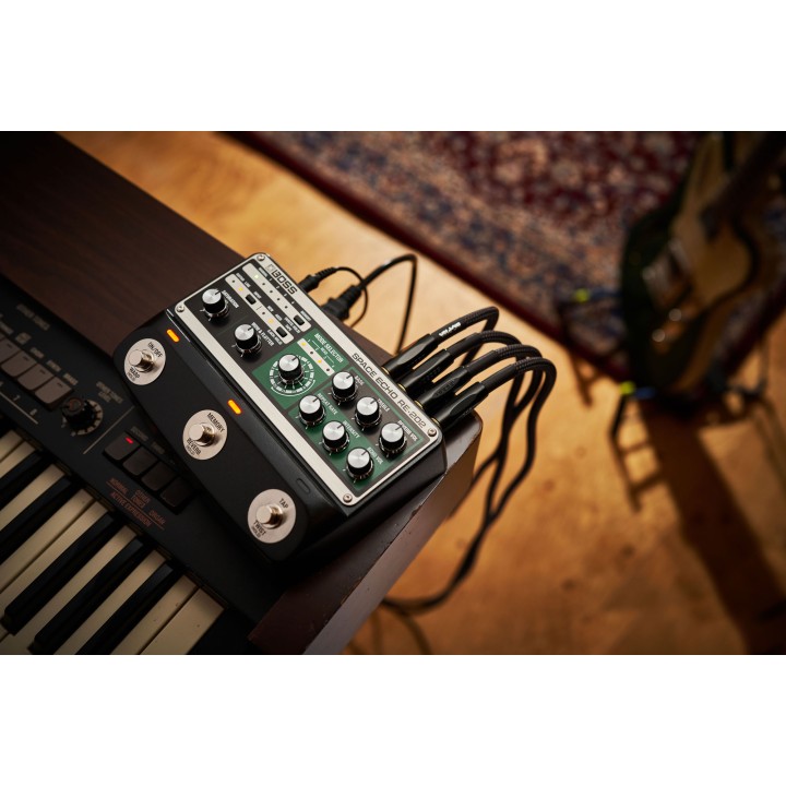 Acquista BOSS Re-202 Space Echo online | Merula Strumenti Musicali