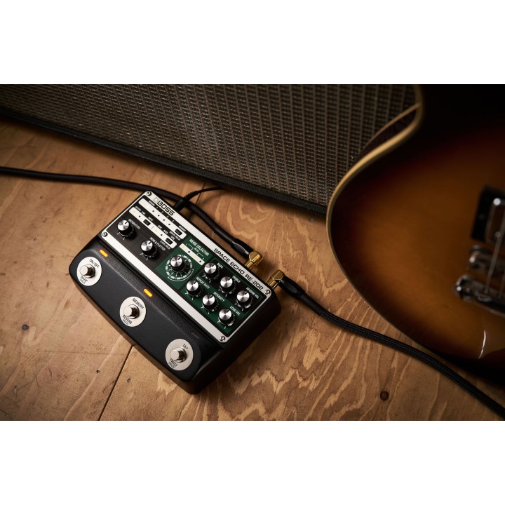 Acquista BOSS Re-202 Space Echo online | Merula Strumenti Musicali
