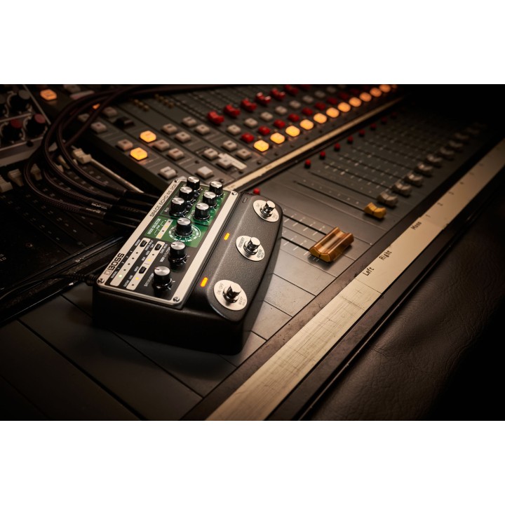 Acquista BOSS Re-202 Space Echo online | Merula Strumenti Musicali