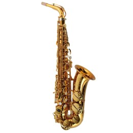 Acquista SELMER SAX ALTO SUPREME DGG online | Merula Strumenti Musicali