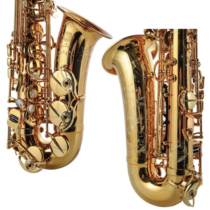 Acquista SELMER SAX ALTO SUPREME DGG online | Merula Strumenti Musicali