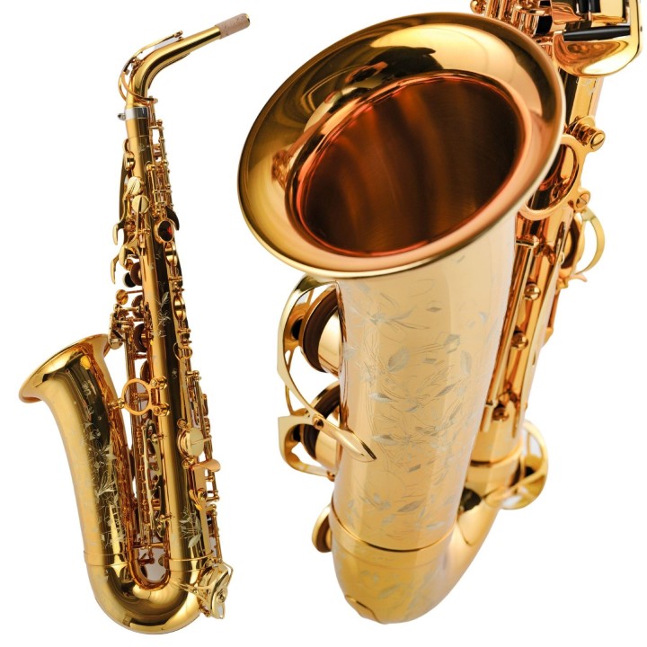 Acquista SELMER SAX ALTO SUPREME DGG online | Merula Strumenti Musicali