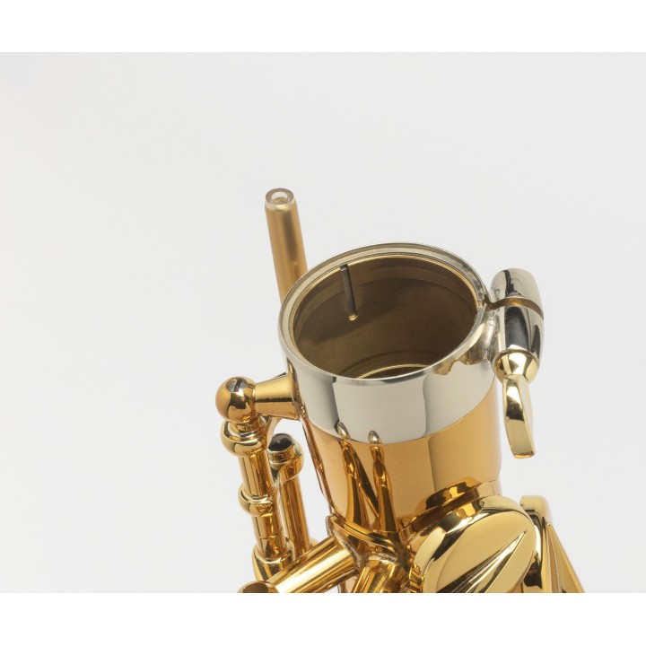 Acquista SELMER SAX ALTO SUPREME DGG online | Merula Strumenti Musicali