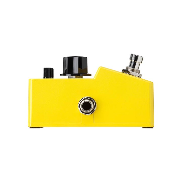 Acquista IBANEZ FLMINI online | Merula Strumenti Musicali