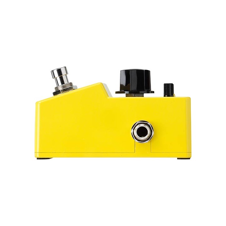 Acquista IBANEZ FLMINI online | Merula Strumenti Musicali