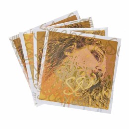 Acquista PIRASTRO Evah Pirazzi Slap Syntetik Set Contrabbasso 445090 online | Merula Strumenti Musicali