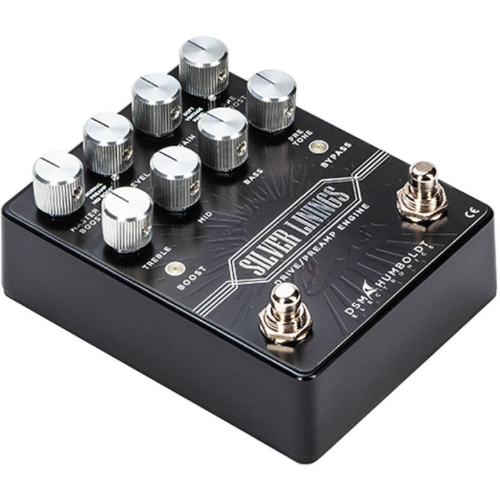 Acquista DSM HUMBOLDT SILVER LININGS online | Merula Strumenti Musicali