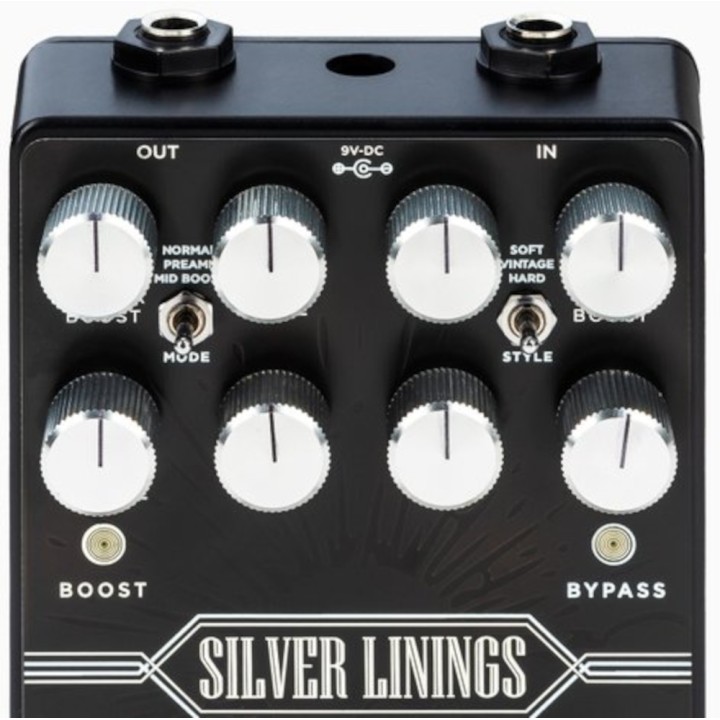 Acquista DSM HUMBOLDT SILVER LININGS online | Merula Strumenti Musicali