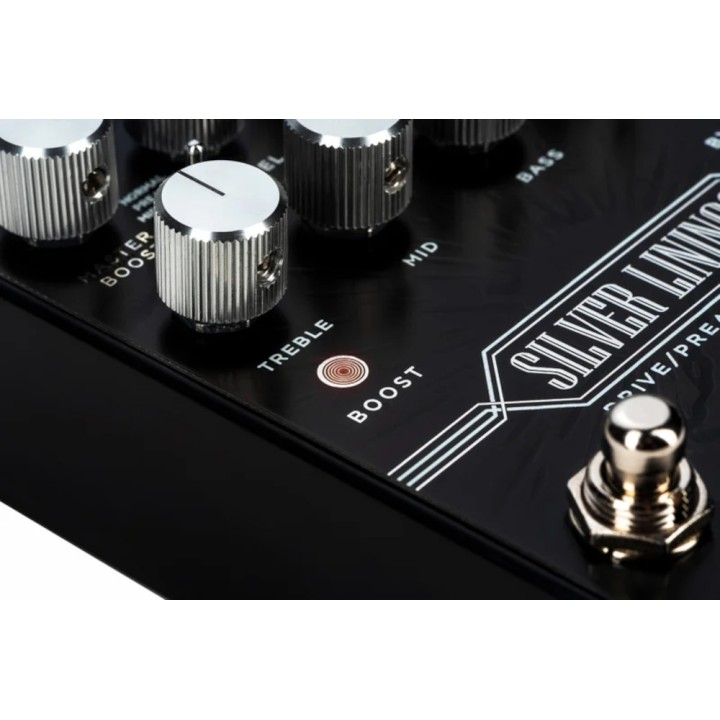 Acquista DSM HUMBOLDT SILVER LININGS online | Merula Strumenti Musicali