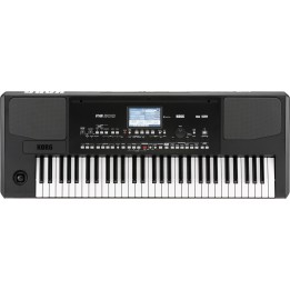 korg pa300 arranger