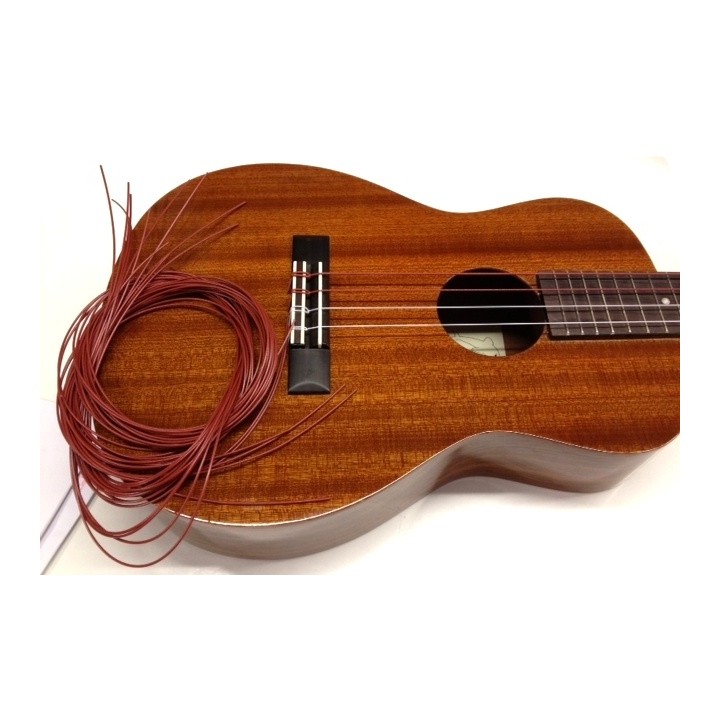 Acquista AQUILA 71U online | Merula Strumenti Musicali
