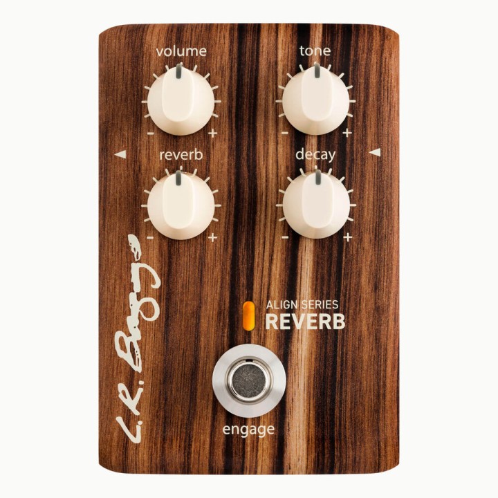Acquista L. R. BAGGS Reverb Per Chitarra Acustica online | Merula Strumenti Musicali