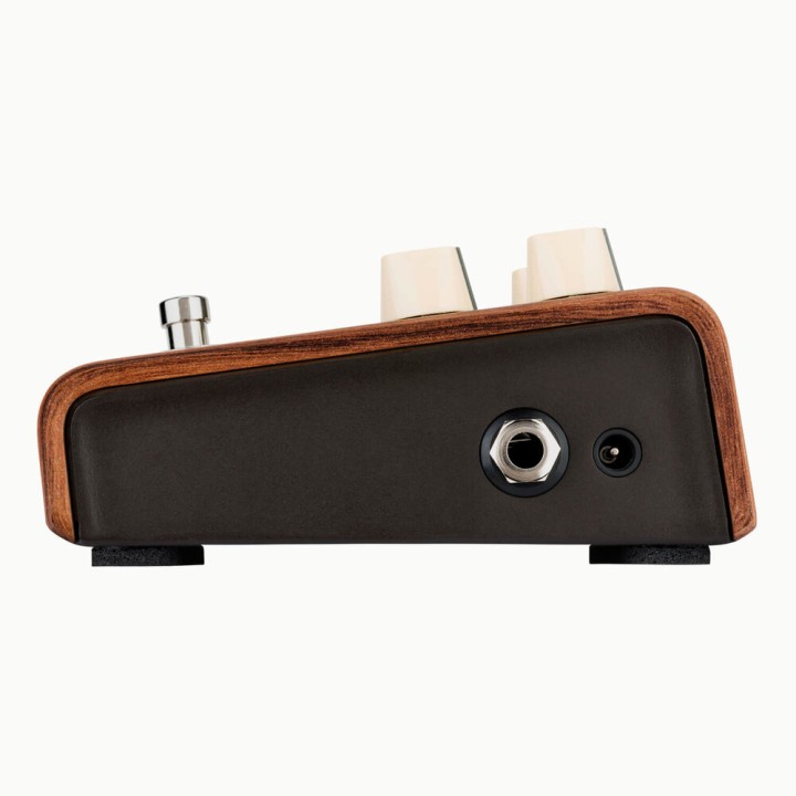 Acquista L. R. BAGGS Reverb Per Chitarra Acustica online | Merula Strumenti Musicali
