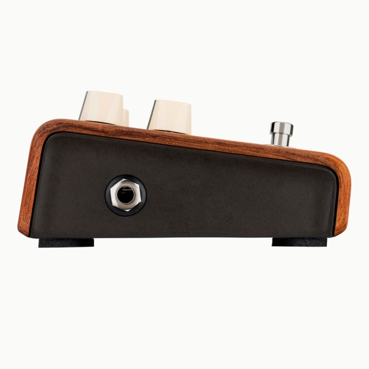 Acquista L. R. BAGGS Reverb Per Chitarra Acustica online | Merula Strumenti Musicali