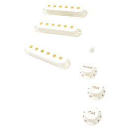 Acquista FENDER AM VINT 60'S STRAT KIT 0992097000 online | Merula Strumenti Musicali