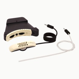 Acquista L. R. BAGGS Anthem online | Merula Strumenti Musicali