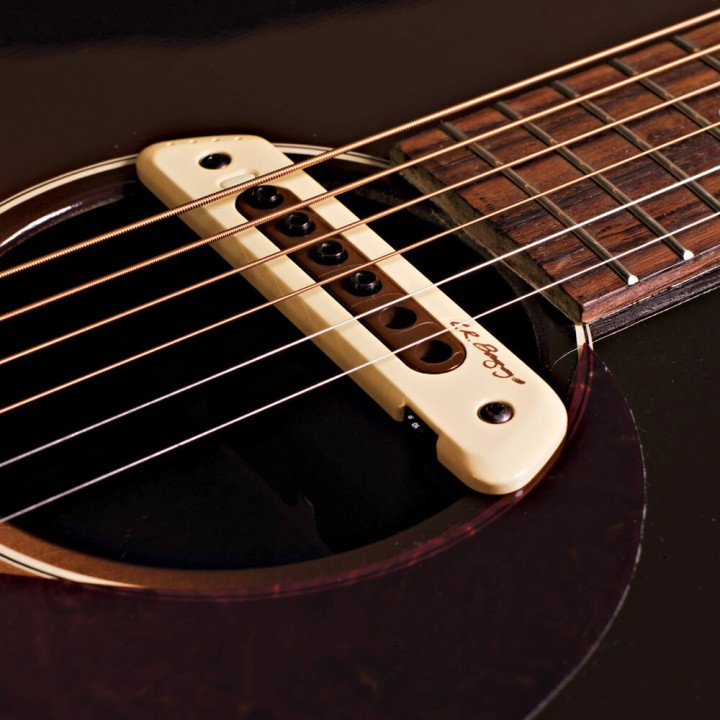 Acquista L. R. BAGGS M80 PICKUP DA BUCA online | Merula Strumenti Musicali