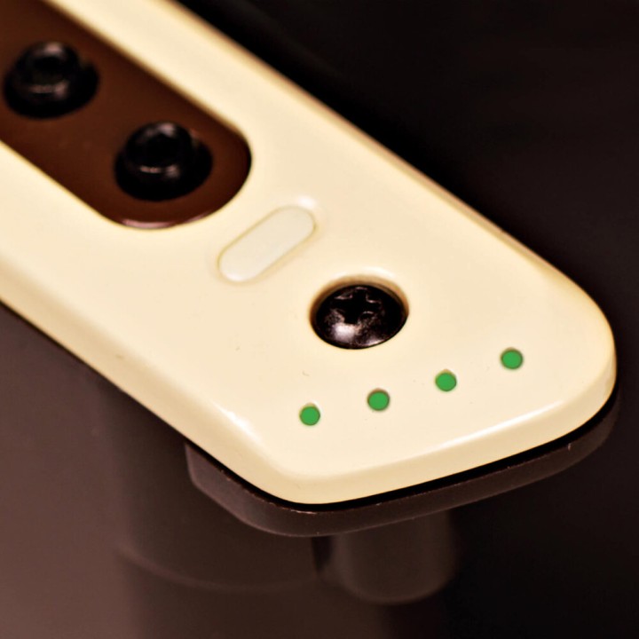 Acquista L. R. BAGGS M80 PICKUP DA BUCA online | Merula Strumenti Musicali