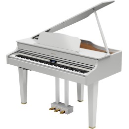 Roland - Gp607 -Pw