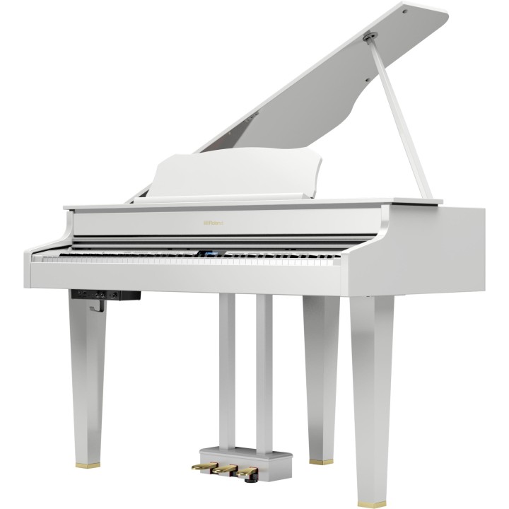 Roland - Gp607 -Pw