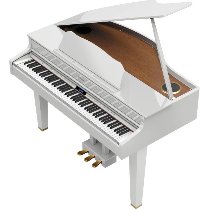 Roland - Gp607 -Pw