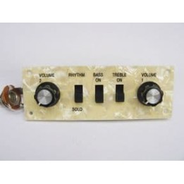 Acquista ALL PARTS PU 6421-000 WIRED CONTROL PLATE-HOFNER online | Merula Strumenti Musicali