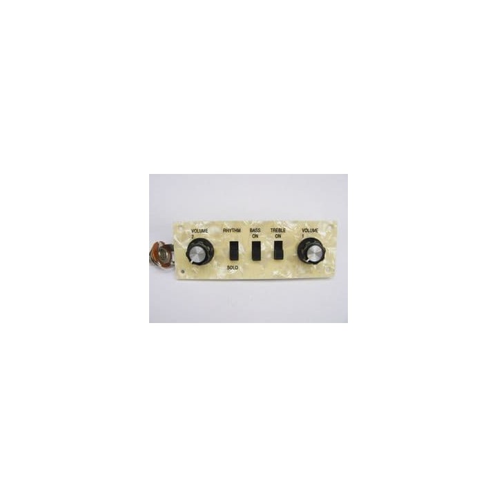 Acquista ALL PARTS PU 6421-000 WIRED CONTROL PLATE-HOFNER online | Merula Strumenti Musicali