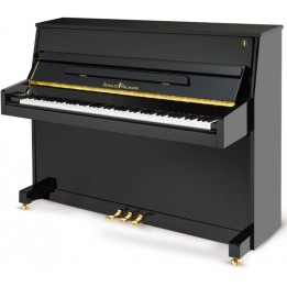 Acquista SCHULZE POLLMANN S 110AW NERO LUCIDO online | Merula Strumenti Musicali