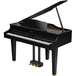 Roland - Gp607-Pe