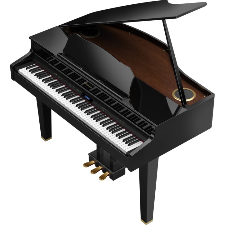Roland - Gp607-Pe