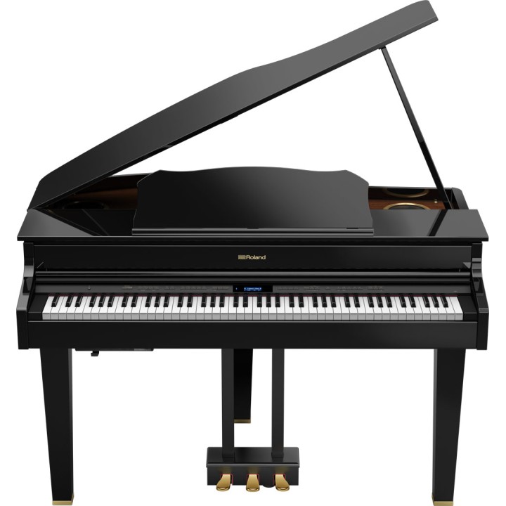 Roland - Gp607-Pe