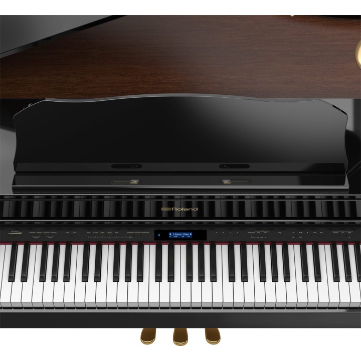 Roland - Gp607-Pe