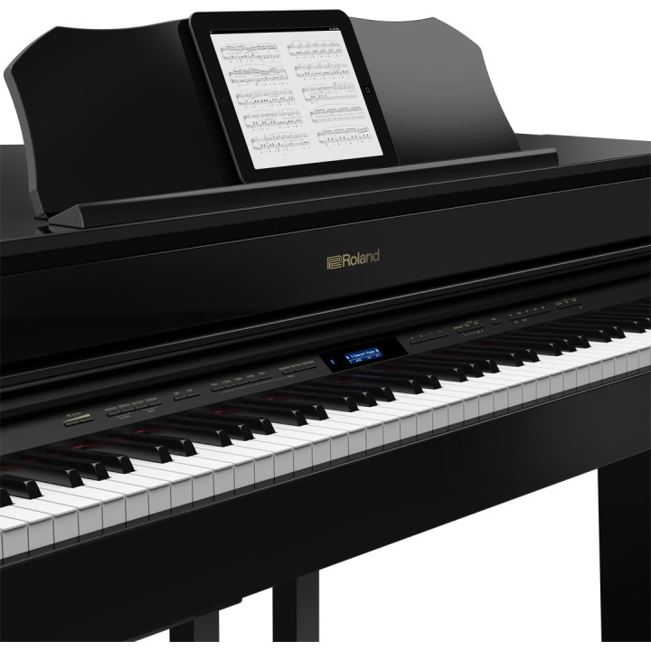 Roland - Gp607-Pe